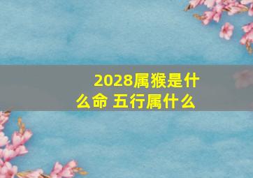 2028属猴是什么命 五行属什么